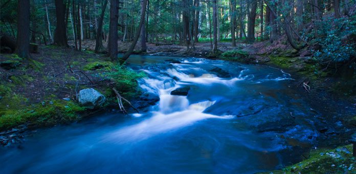 A stream running through the woods with rocks in it.